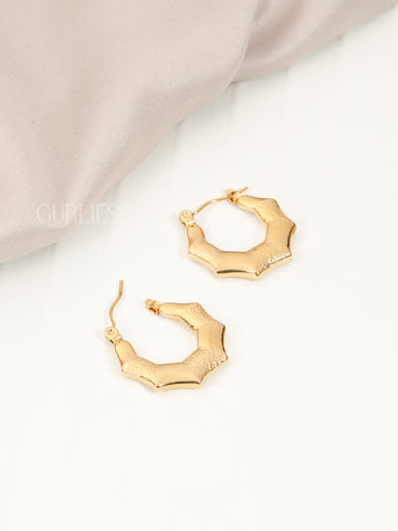 Gold Dust Hoops Earrings