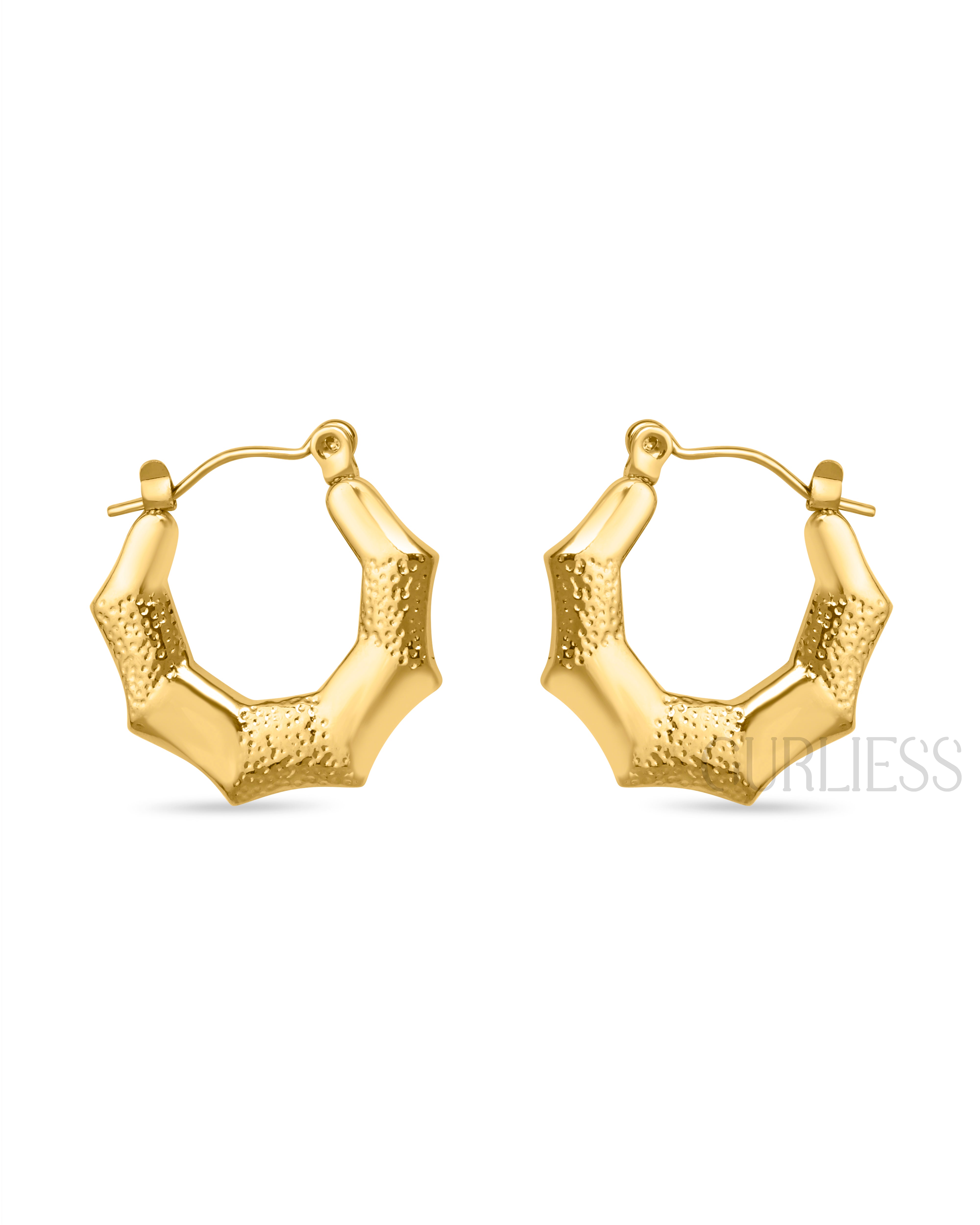 Gold Dust Hoops Earrings