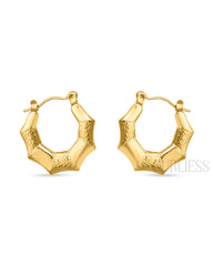 Gold Dust Hoops Earrings