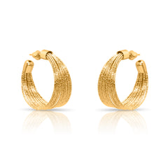 Star Hug Gold Earrings